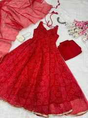 Digital Printed Organza Silk Anarkali Suit