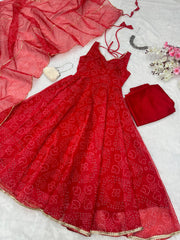 Digital Printed Organza Silk Anarkali Suit